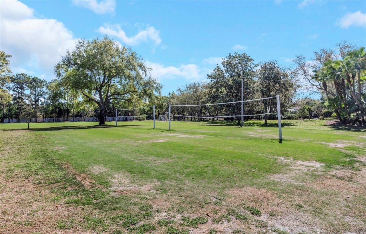 3675 Janus Way, Palm Harbor, FL 34685 Photo