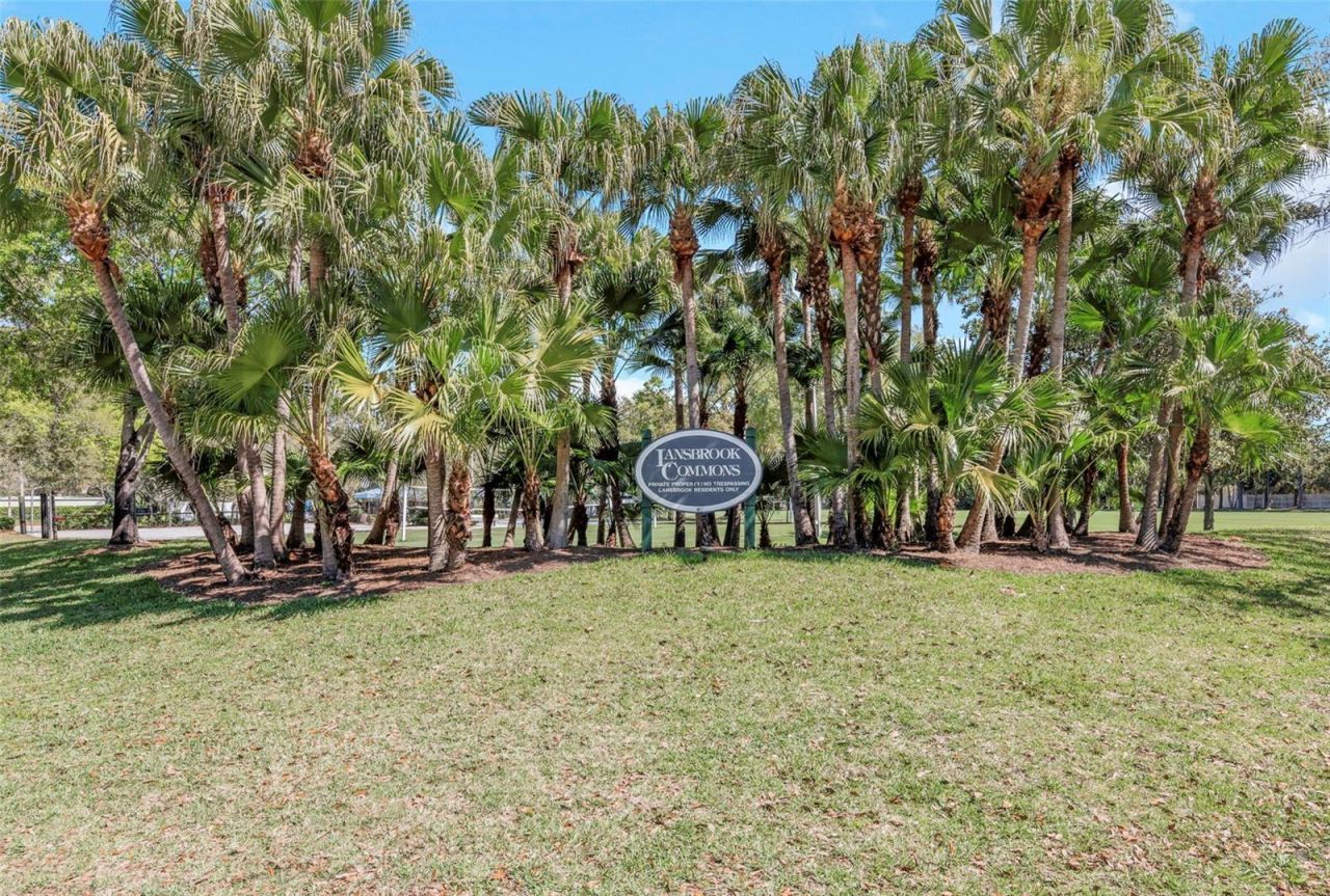 3675 Janus Way, Palm Harbor, FL 34685 Photo