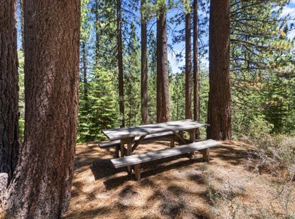 1581 Estate Court, South Lake Tahoe, CA 96150 Photo