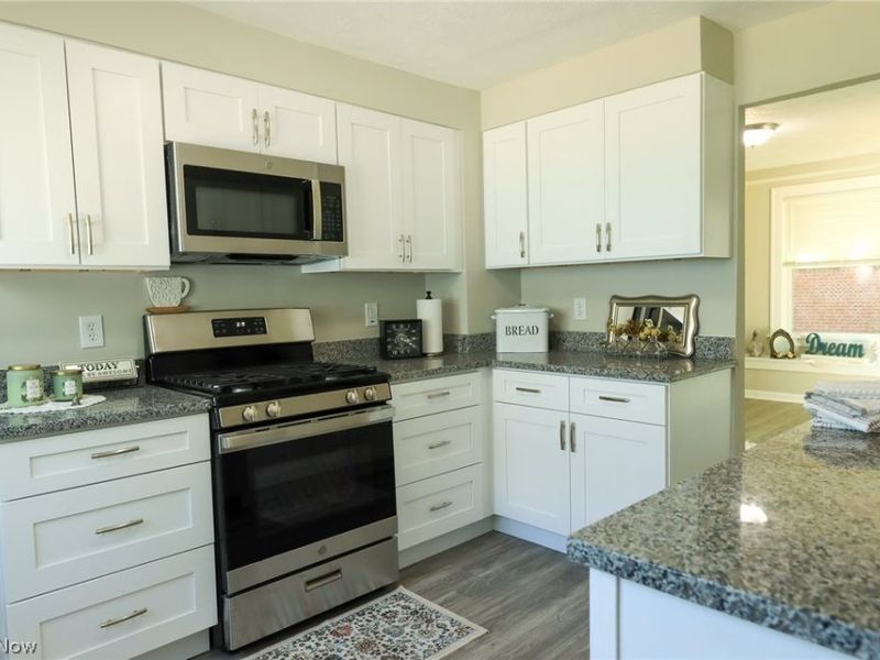 427 South Street, Fairport Harbor, OH 44077 Photo 9