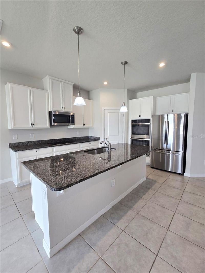 10156 Agave Court, Land O Lakes, FL 34638 Photo
