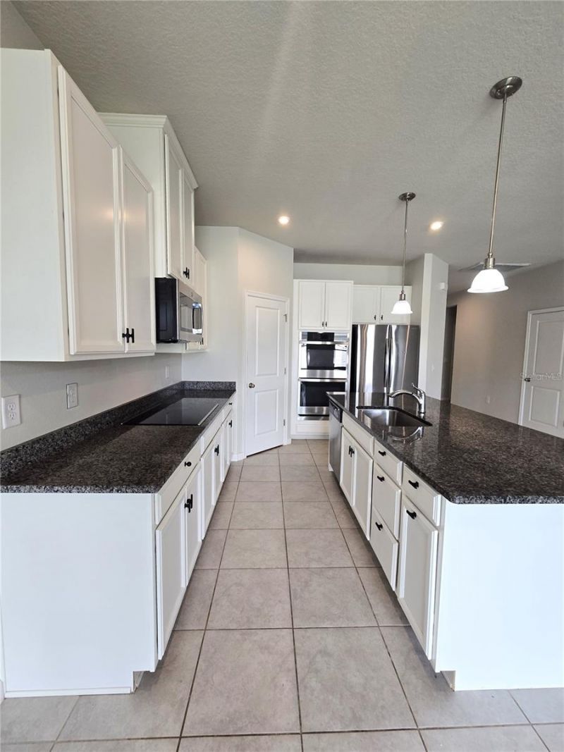 10156 Agave Court, Land O Lakes, FL 34638 Photo