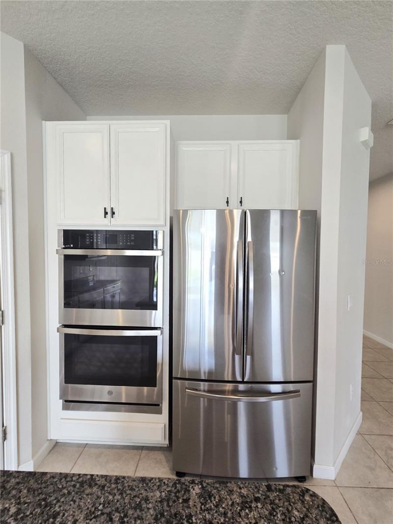 10156 Agave Court, Land O Lakes, FL 34638 Photo