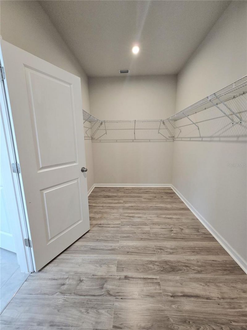 10156 Agave Court, Land O Lakes, FL 34638 Photo