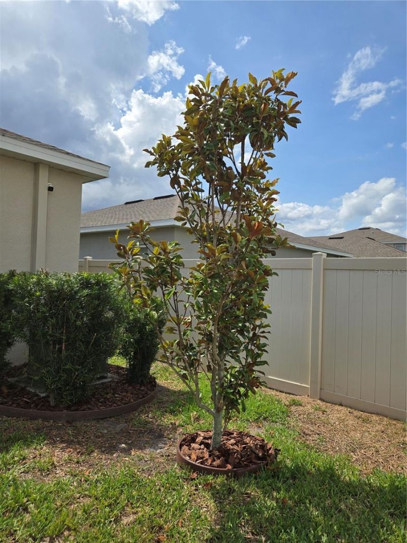 10156 Agave Court, Land O Lakes, FL 34638 Photo