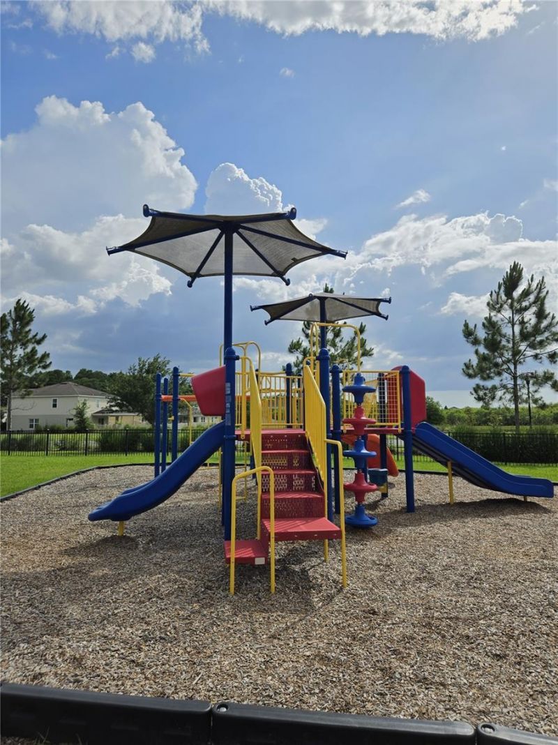 10156 Agave Court, Land O Lakes, FL 34638 Photo