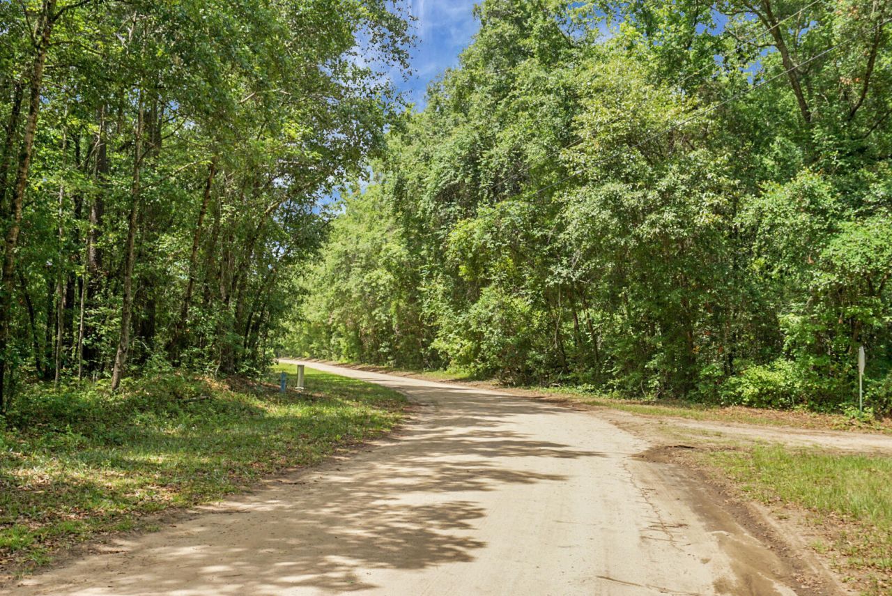343 Capers Road Photo 4