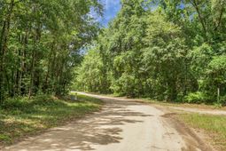 343 Capers Road photo 4