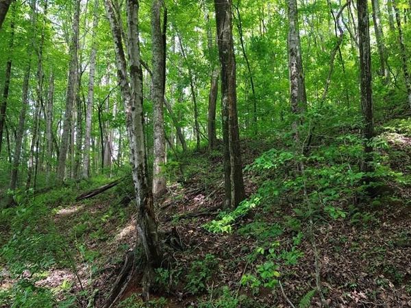115 Calvender Road, Turtletown, TN 37391