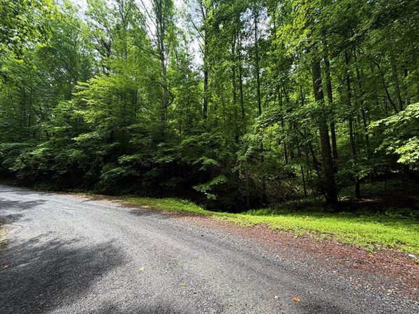 LT 144 Alcan Way, Ellijay, GA 30450