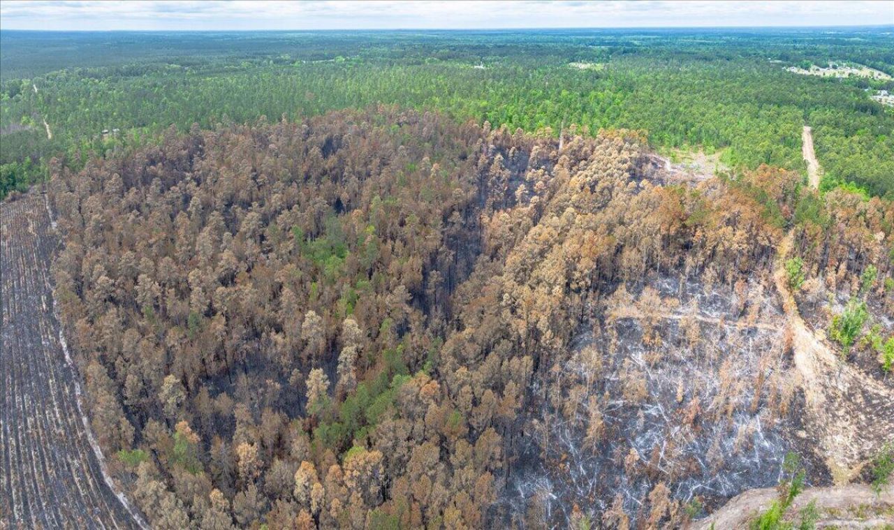 00 Rice Road Photo 12