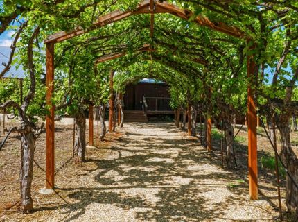 10120 Shenandoah Rd, Plymouth, CA 95669 Photo