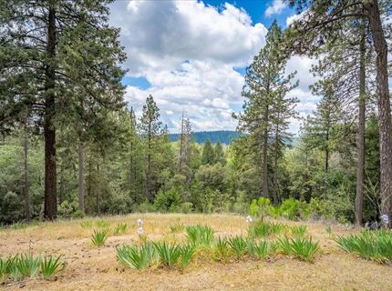 3951 Jacobus Dr, Garden Valley, CA 95633 Photo