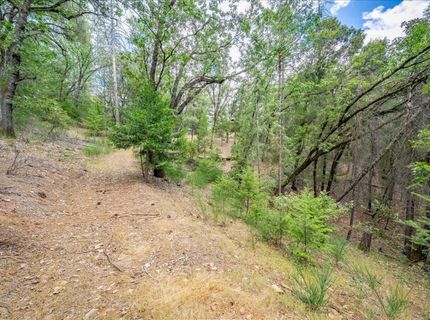 3951 Jacobus Dr, Garden Valley, CA 95633 Photo