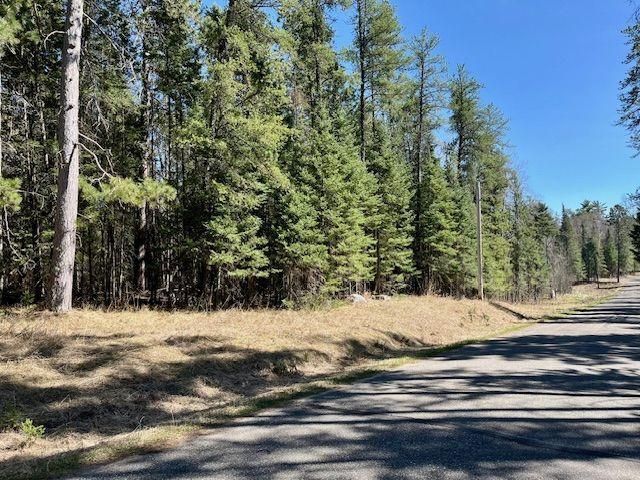 Tbd New Melahn Dr. (lot 10( , Lake George, MN 56458 Main Photo