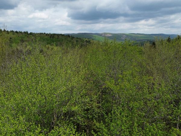 Map 8 Lot 29 Martin Road, Washington, NH 03280