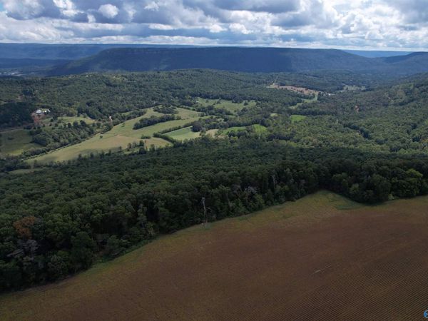 9.5 AC County Road 75, Flat Rock, AL 35966