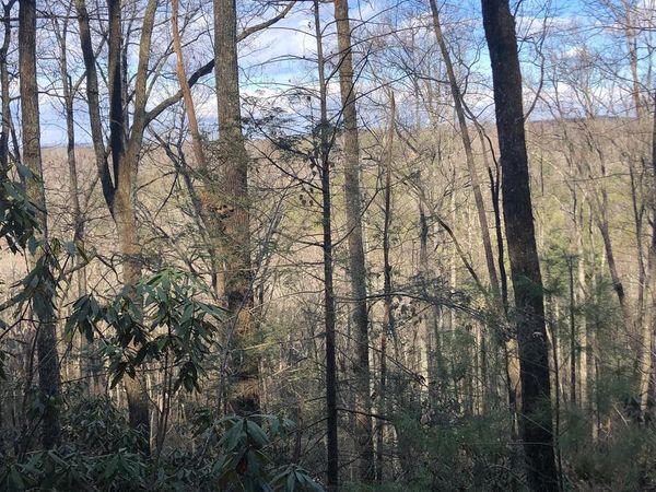 450 Holder Cemetery Road, Tellico Plains, TN 37385
