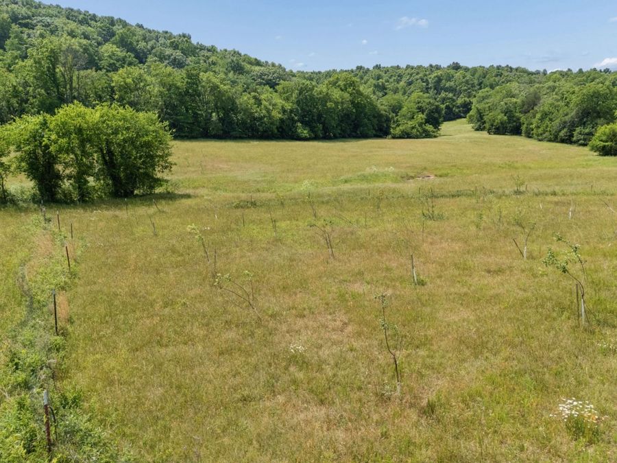 Property Image 81