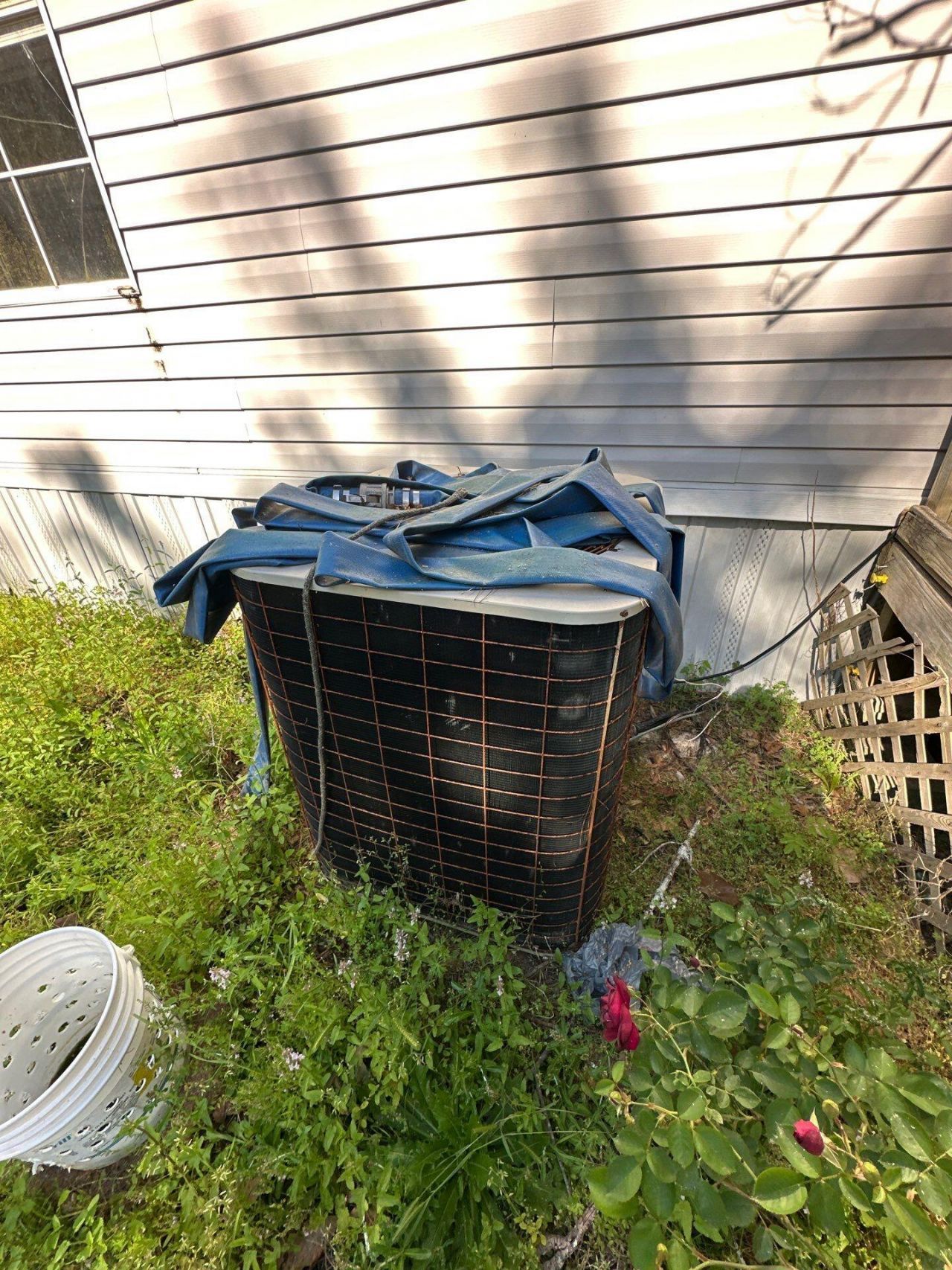 186 Lone Lane Drive Photo 15