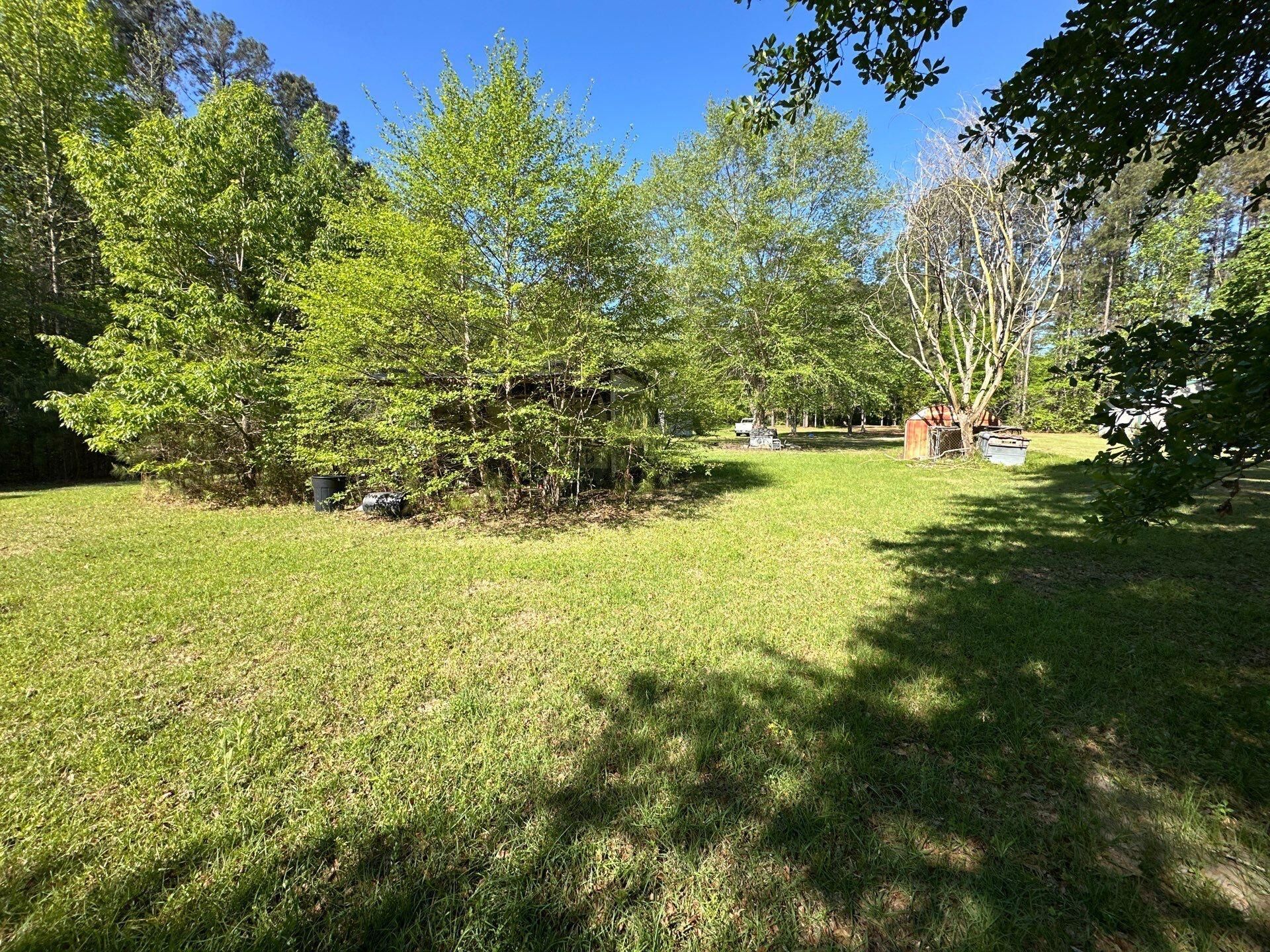 186 Lone Lane Drive Photo 18