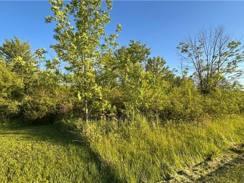 Weimer Drive , Ashtabula, OH 44004 Photo 3