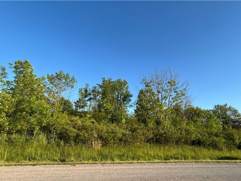 Weimer Drive , Ashtabula, OH 44004 Photo 4