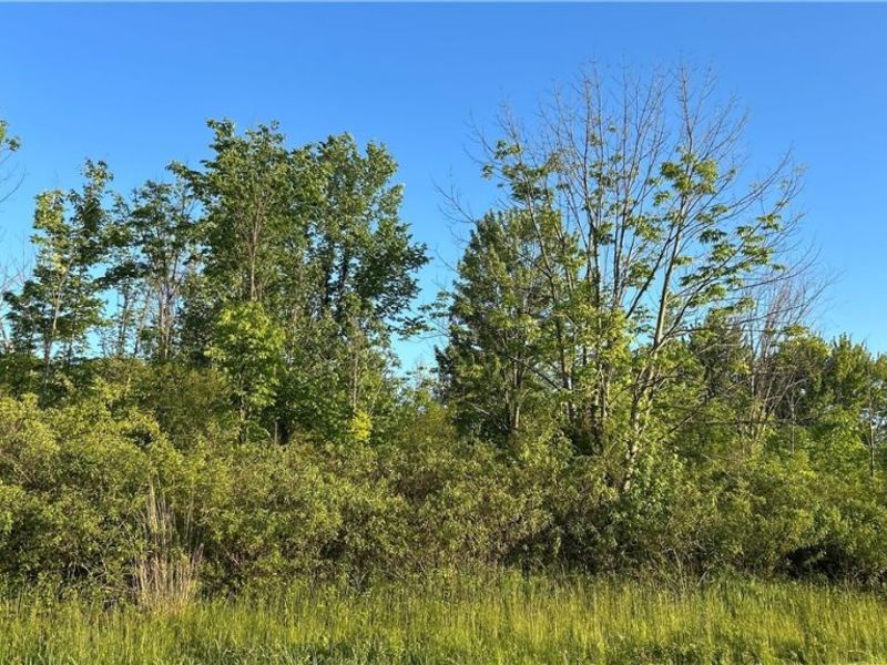 Weimer Drive , Ashtabula, OH 44004 Photo 5