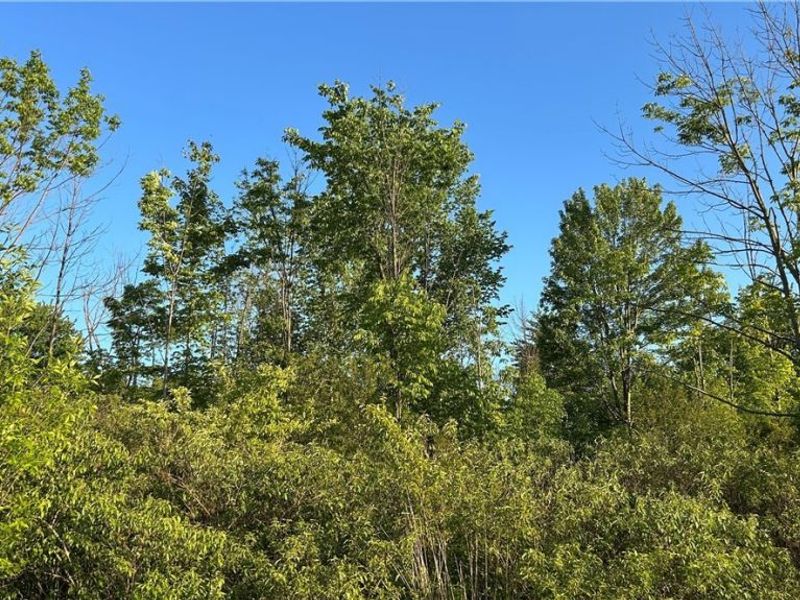 Weimer Drive , Ashtabula, OH 44004 Photo 6