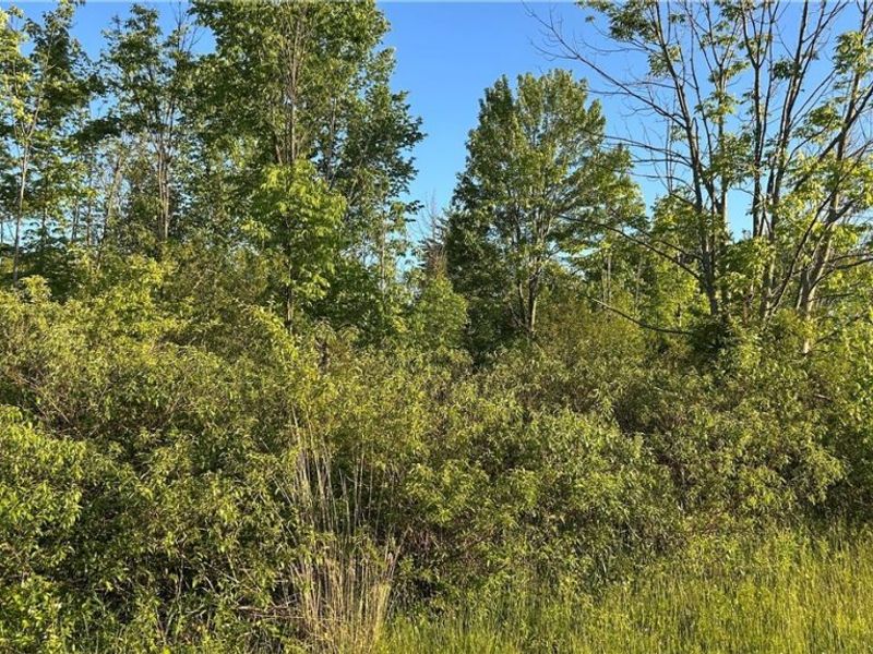 Weimer Drive , Ashtabula, OH 44004 Photo 7