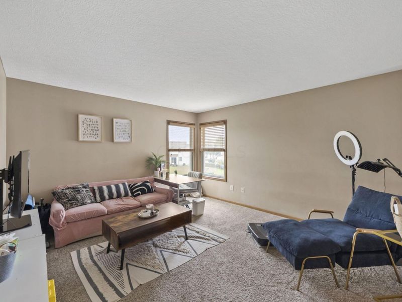8567 Old Field Birch Drive, Blacklick, OH 43004 Photo 20