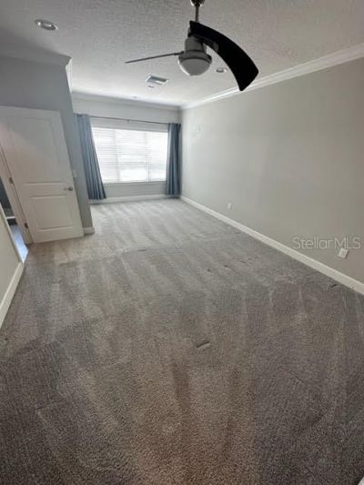 6072 Moorings Drive S, Saint Petersburg, FL 33712 Photo