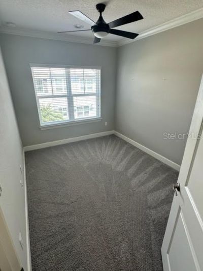 6072 Moorings Drive S, Saint Petersburg, FL 33712 Photo