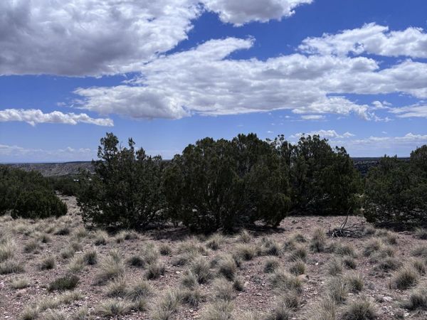 71 Gila Drive, Unit 1, Concho, AZ 85924
