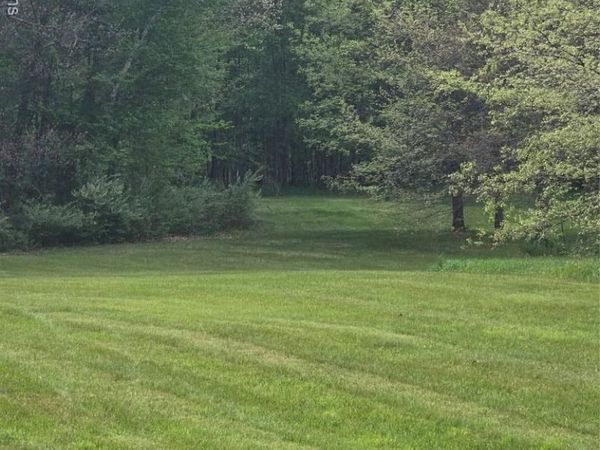 Unit 12 Sheryl Court, Mayfield Twp, MI 48446