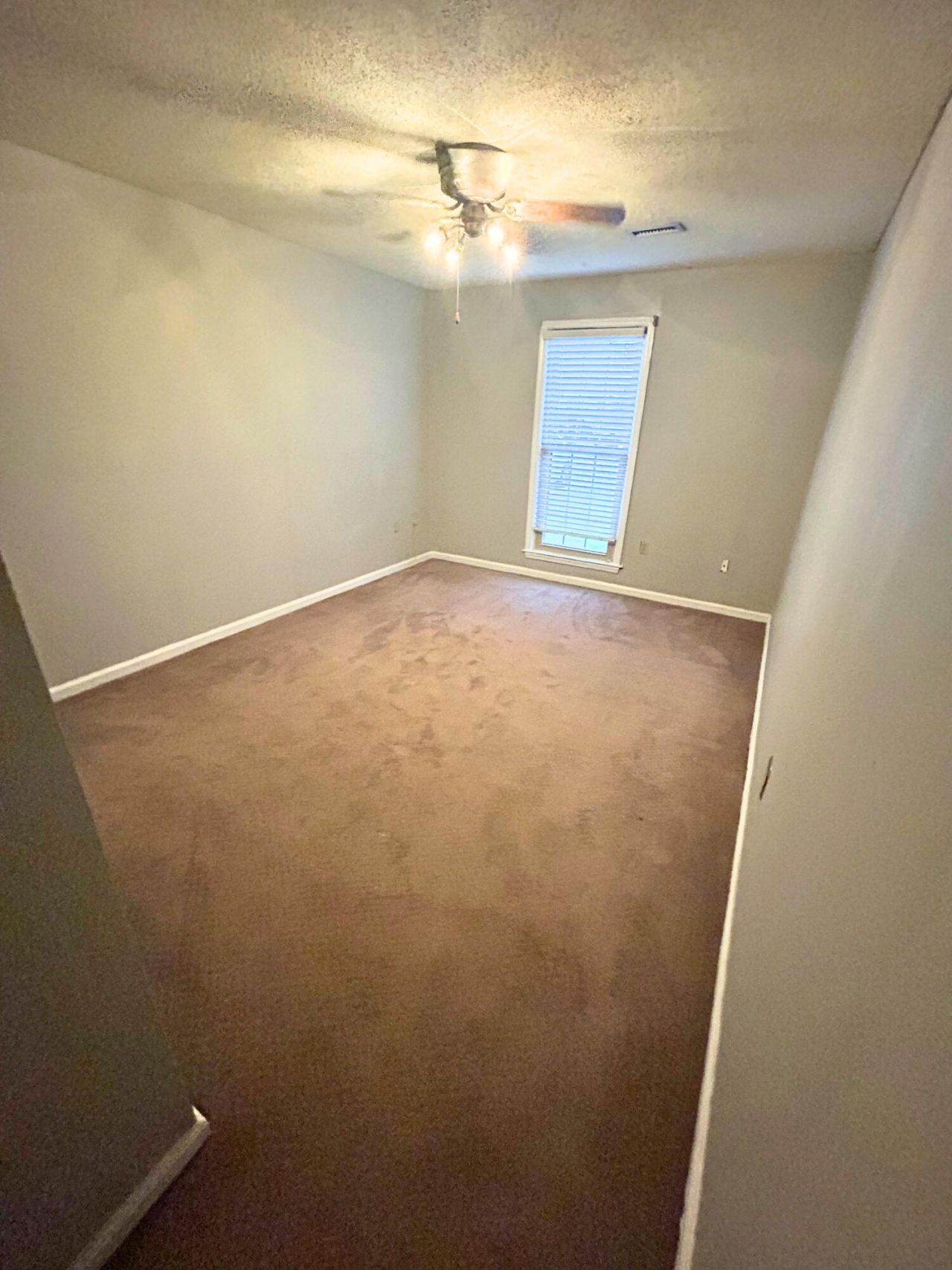 5557 Evelyn Drive Photo 39