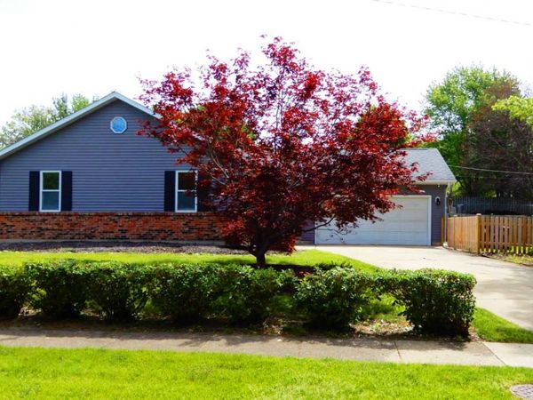 62 Alice Street , Algonquin, IL 60102