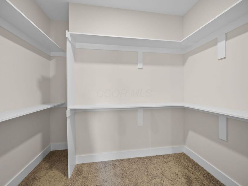 2902 County Road 184, Cardington, OH 43315 Photo 31