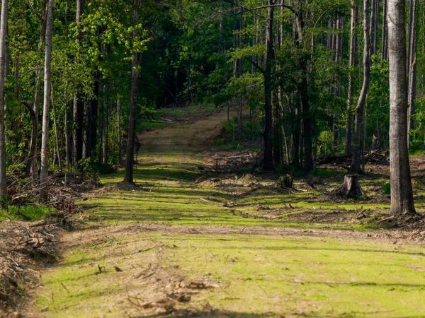 Lorance Road, Clinton, MS 39056