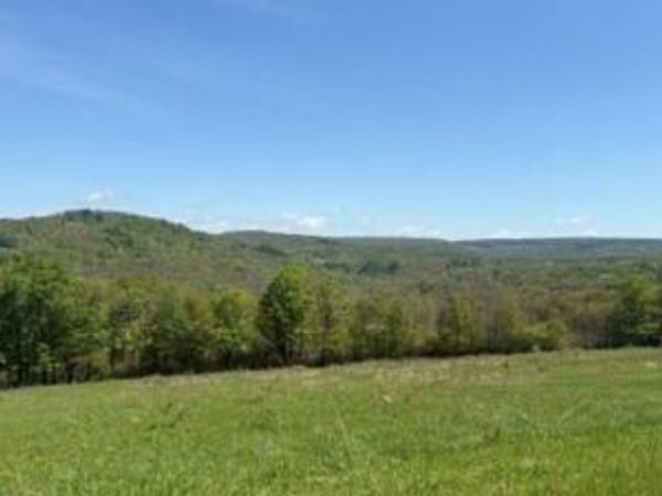 52 E Hill Road , Jeffersonville, NY 12748