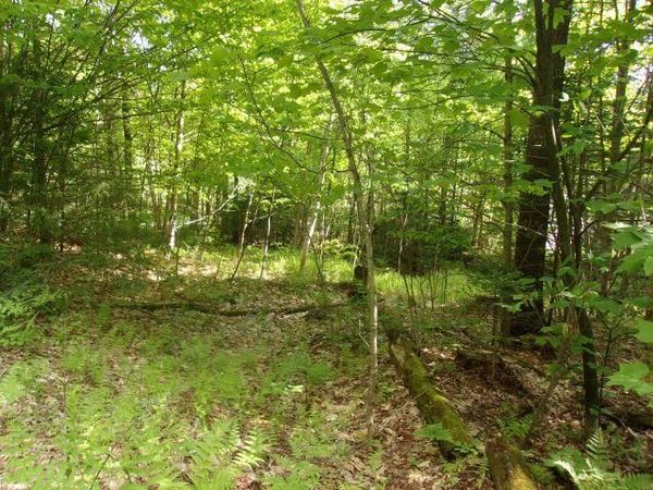 Lincoln Way, Unit 89, Haverhill, NH 03785