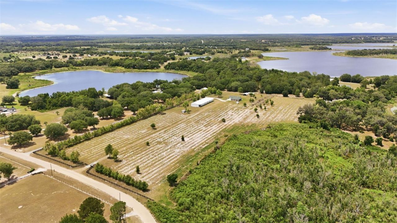 14433 Lake Yale Road, Umatilla, FL 32784 Photo
