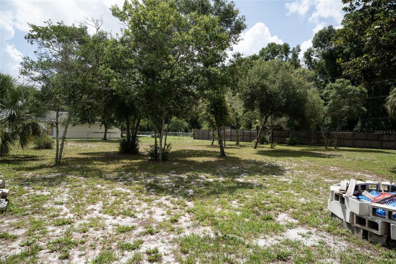 27751 Luella Avenue, Paisley, FL 32767 Photo