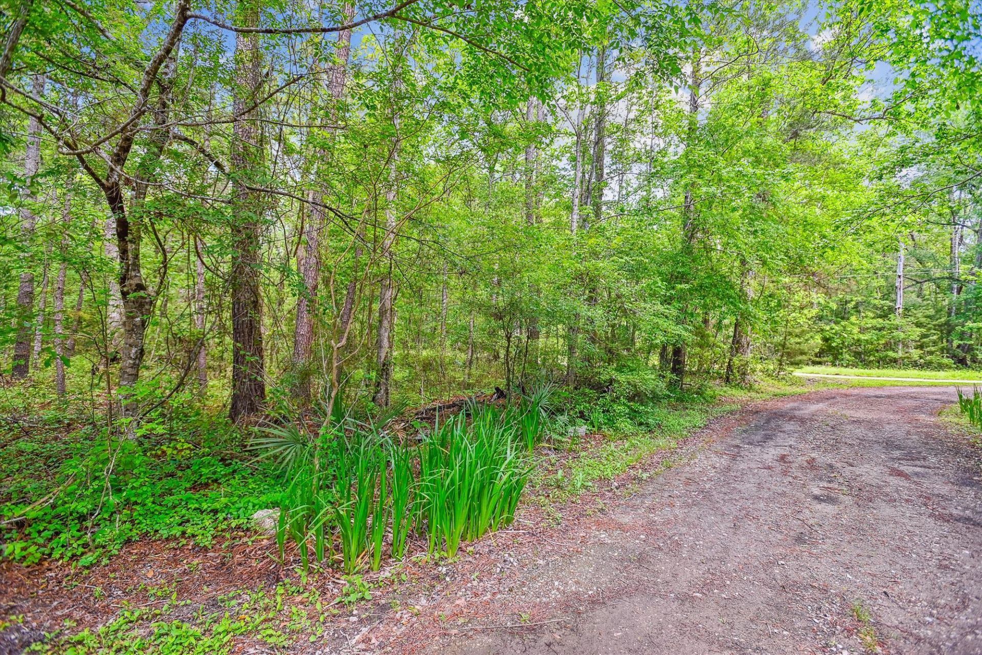 7089&7095 Parkers Ferry Road Photo 82
