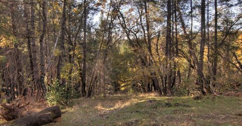 2470 Buffalo Hill Rd, Georgetown, CA 95634 Photo