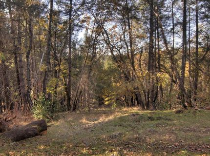 2470 Buffalo Hill Rd, Georgetown, CA 95634 Photo