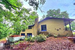 810 Camelia Street  photo 4