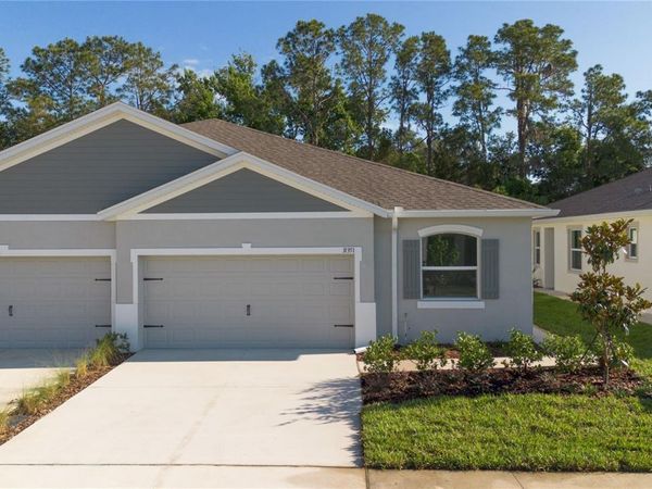 31351 PAPER BIRCH STREET, WESLEY CHAPEL, FL 33545