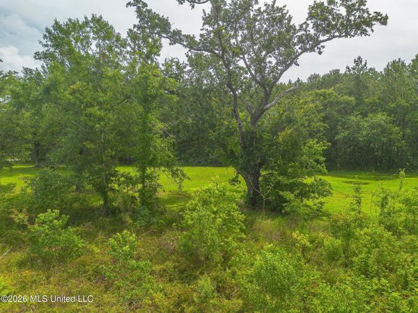 Oliver Street, Bay Saint Louis, MS 39520