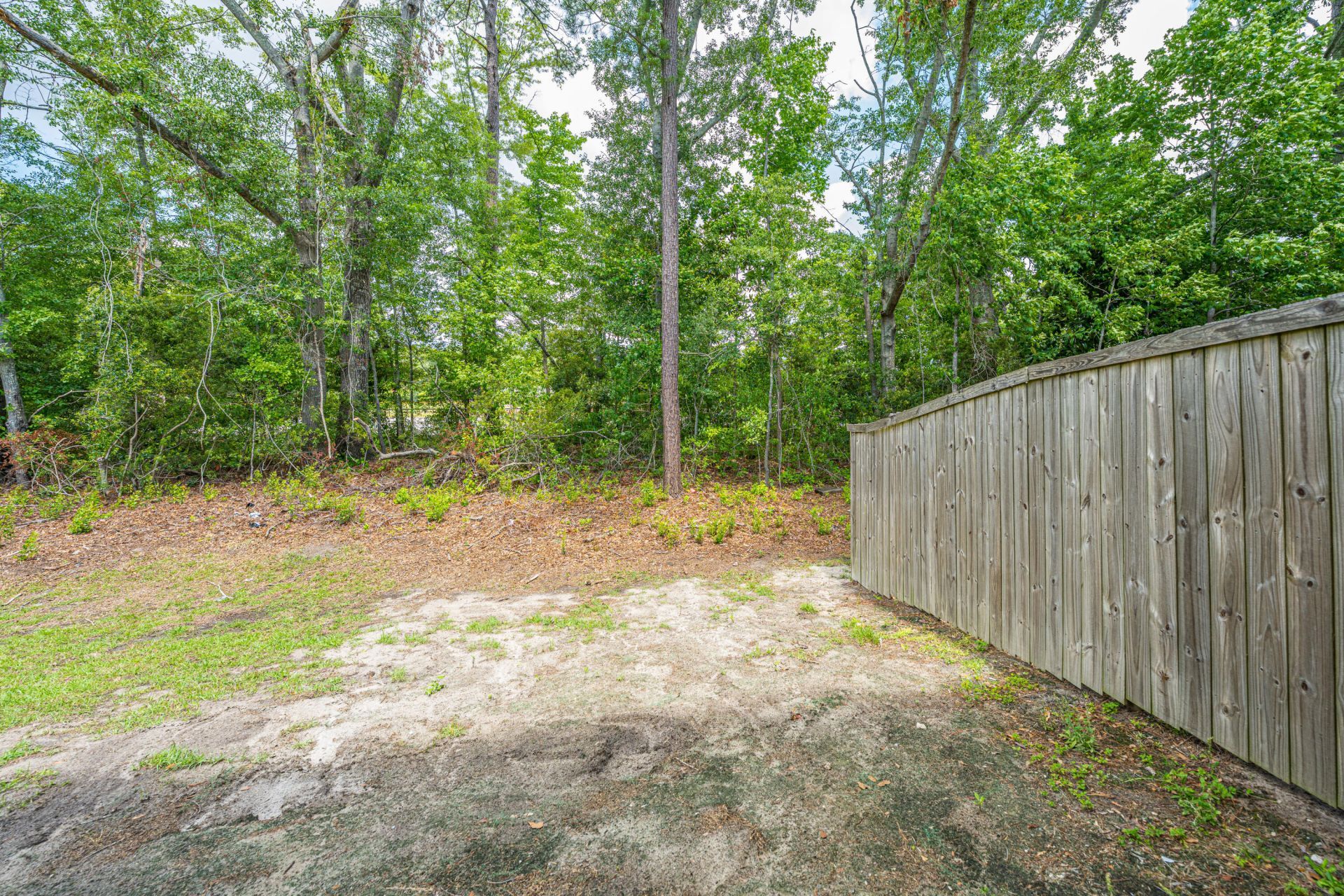217 Alston Street Photo 18